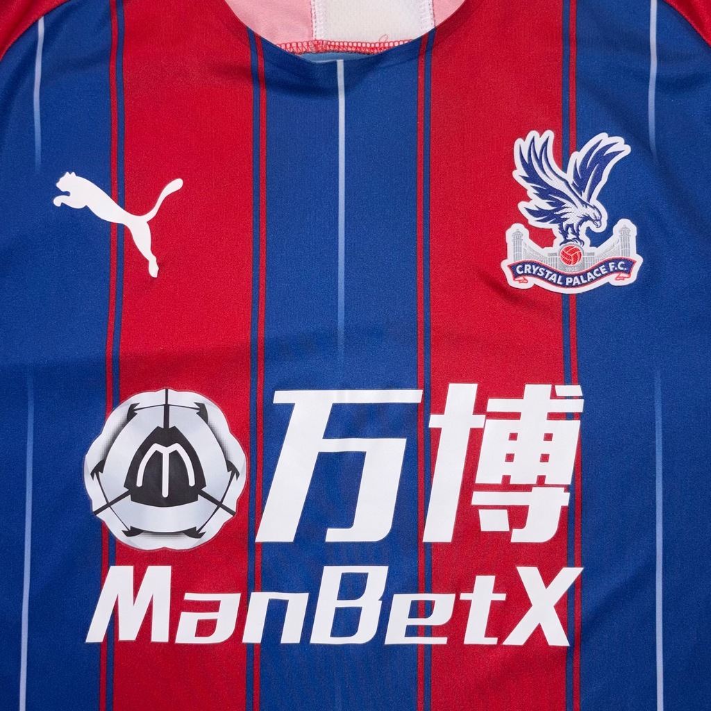 Crystal Palace 2019/20 Home Kit L
