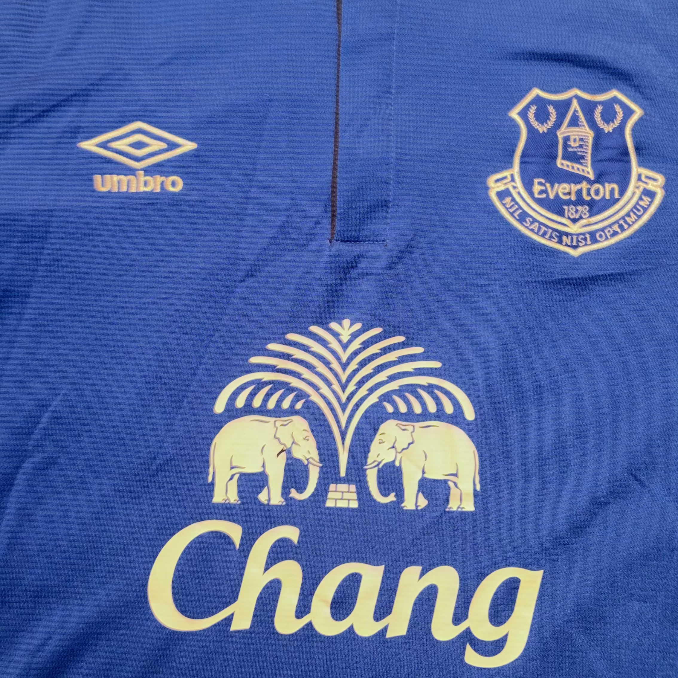 Everton 2014/15 Home Kit McCarthy L