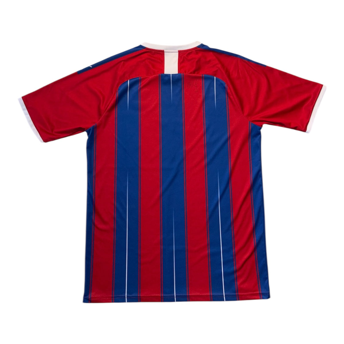 Crystal Palace 2019/20 Home Kit L