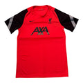 Liverpool 2020/21 Training Kit L